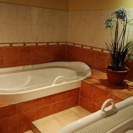 Abacus Tierpark מלון ברלין